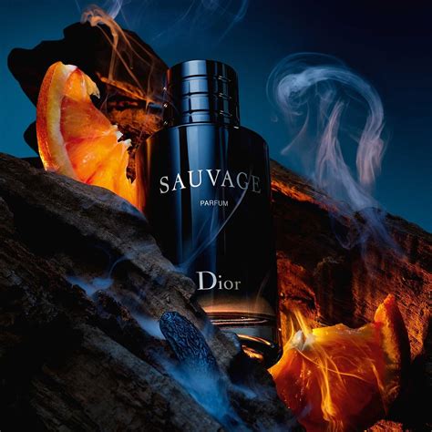 fragrances like dior sauvage|dior sauvage for men boots.